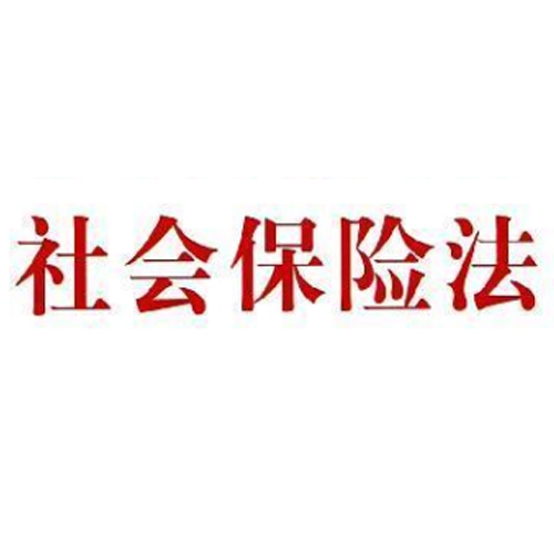 新年华人力资源公司